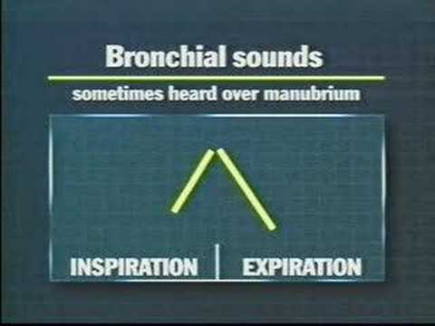 Breath Sounds - YouTube