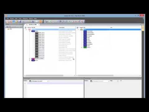 Inobiz DS - Mapping X12 to XML with live mapping