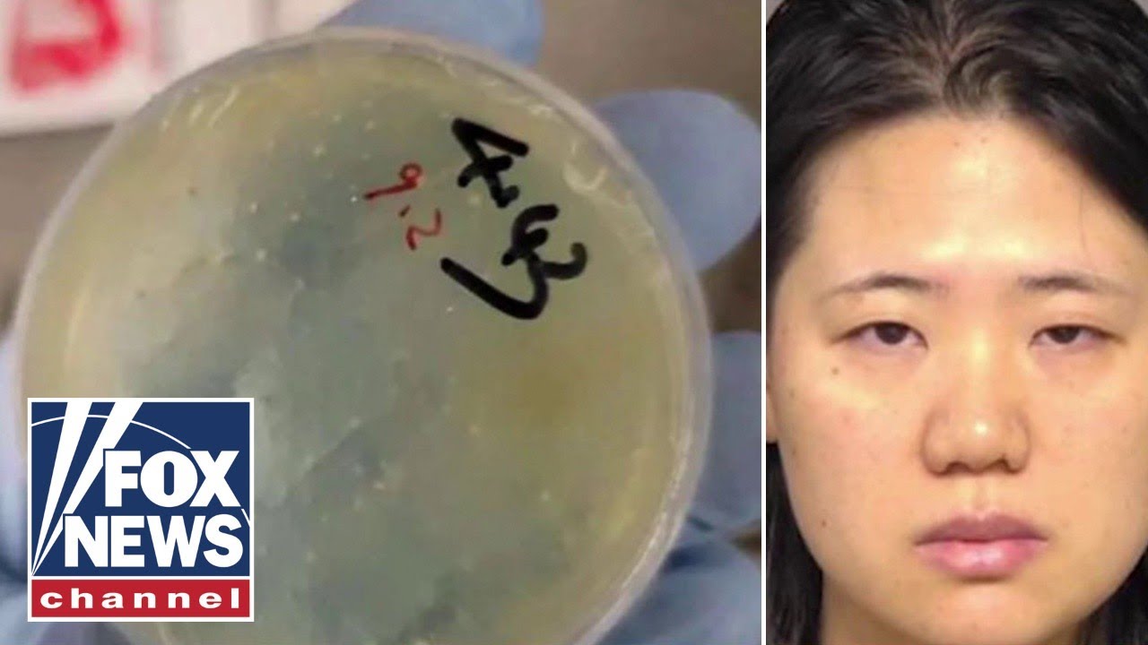 'ALARMING': Third Chinese national accused of smuggling bio weapons in latest threat to US security