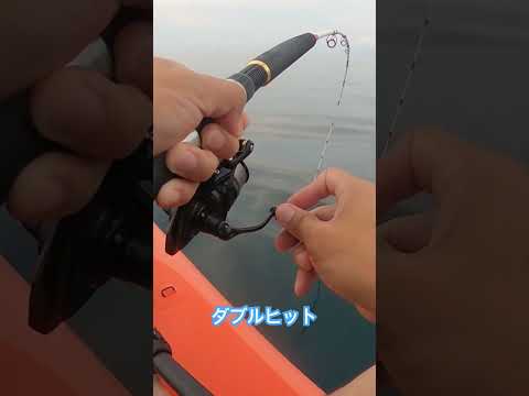 #釣り #ダブルヒット #サップフィッシング