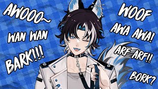 Reasons to love dog boys~