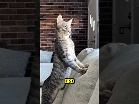 The Creepy Head at the Hallway 😱