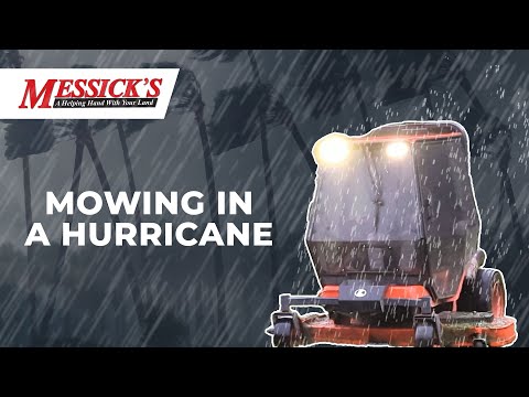 Mowing in Hurricane Ian's drenching rain Picture