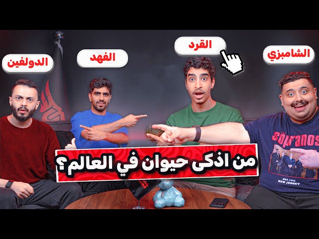 جوابك جوابهم مع اعضاء تي يو 🔥🔥