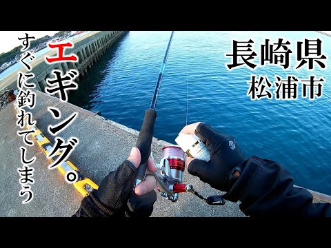 すぐに釣れてしまう奇跡が起きた【エギング】冬。#79＜右巻き大好き＞