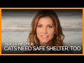 Tricia Helfer Says Cats Need Safe Shelter, Too!