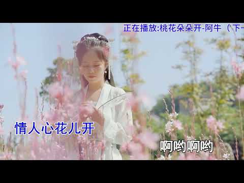 怀旧经典歌曲《桃花朵朵开》发行于2006年,获得年度金曲奖#百听不厌 #音乐分享 #回忆 #经典老歌 #曾经红遍大江南北的歌