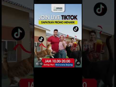 Ayo join tiktok Nirwana #viral #fyp #bus #makan #kucing #lucu #hits #home #rumahminimalis #cats #cat