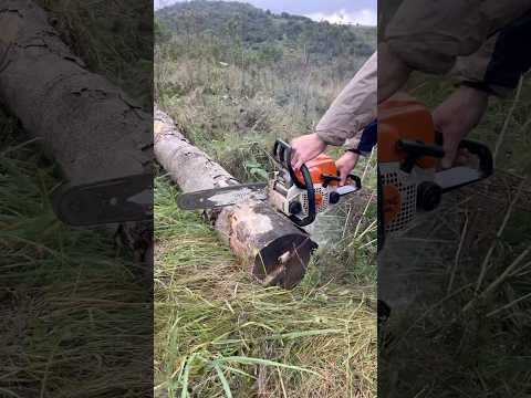 STIHL - MS 180 в роботі