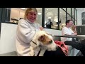 New Yorks first-ever no leash cafe  - 01:25 min - News - Video