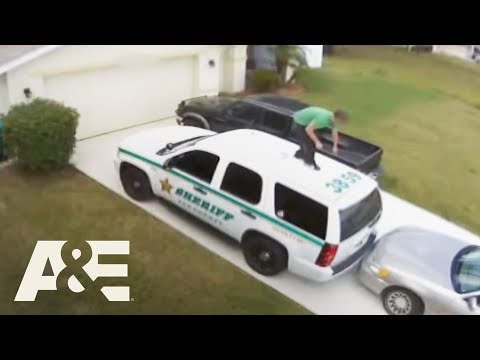 My Strange Arrest'