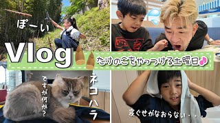 動画サムネイル