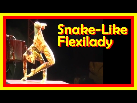 Best Contortion Acts Of 2016 Best Contortion Acts Of 2016