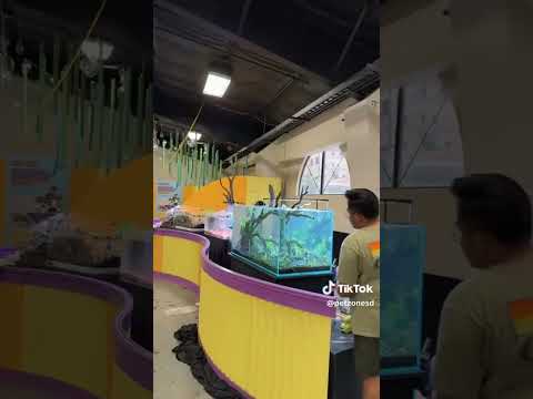 DEL MAR FAIR 🐠✨ Pet Zone Tropical Fish at the San Diego County Fair – Del Mar! ✨🐠
Come see stunning e