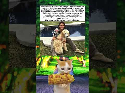 #shorts #memes #memy #śmieszne #viralvideo #funny #fyp #polska