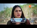Nindu Noorella Saavasam | Ep - 254 | Best Scene | Jun 04 2024 | Zee Telugu  - 03:56 min - News - Video