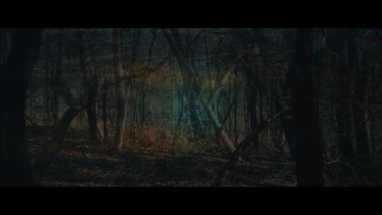 The album 'In No Memory' is available on Bandcamp. 
https://causalidox.bandcamp.com/album/in-no-memory
Released 5/20/2025 on EC Underground

Sequencer: 
Sequentix Cirklon

Soundsources:
Noise Engineering Basimilus Iteritas Alter, Loquelic Iteritas Percido
Steady State Fate Entity Bassdrum
Michigan Synth Works SY0.5
Mutable Instruments Elements
WMD Crucible
4ms Stereo Triggered Sampler
Intellijel Atlantis
Industrial Music Electronics Piston Honda MkIII, Hertz Donut MkIII
Behringer RD-9
Elektron Analog Four, Digitone

FX & Filters:
Noise Engineering Desmodus Versio, Ruina Versio, 
Happy Nerding FXAid
Intellijel Rainmaker
T-Rex Effects Replicator
Zvex Effects Instant Lofi Junky
AJH Synth Entropic Doom
Qubit Electronix Data Bender
4ms Dual Looping Delay
Roland 505VCF
Erica Synths PicoVCF1
Xaoc Devices Belgrad
Ensoniq DP/4
Eventide H3500BDFX
OTO Machines Bam
Strymon BigSky, TimeLine, Deco
Haunted Labs Dark Aura
Death By Audio Reverberation Machine
MXR DistortionPlus

#IDM #experimental #industrial