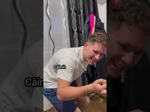 Animalele dacă ar fii oameni😂 #subscribe