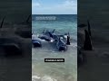 160 whales have beached off the coast of Western Australia(CNN) - 00:40 min - News - Video