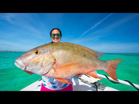 BIG snapper in the Florida KEYS! Catch, clean, cook! I'm back! video thumbnail