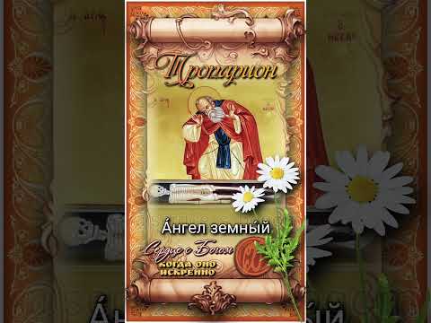 19 июля Прп. Сисой Великий (429г)