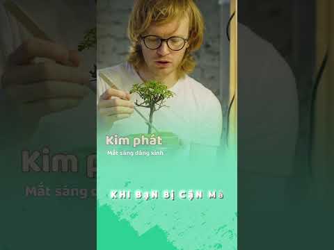 3 sai lầm khiến mắt của bạn cận hơn #xuhuongyoutube #kinhcan