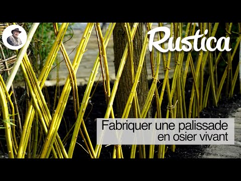 Réaliser une palissade vivante en osier