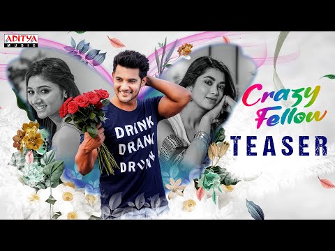 Crazy Fellow Telugu teaser- Aadi Sai Kumar