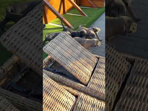 Check out my latest video