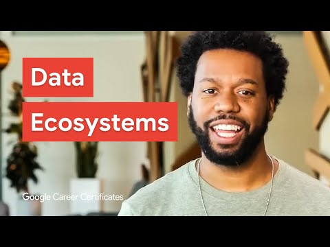 What is the Data Ecosystem & How Does It Work? | Google Career Certificates