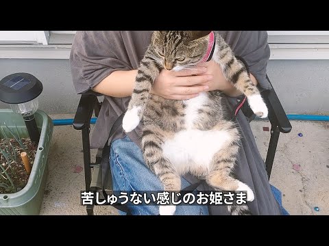 三匹、灼熱の夏を元気に生きてます！