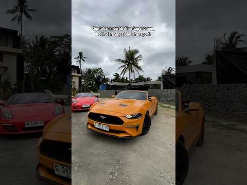 Eksklusif di perjalanan, nyaman di setiap waktu ⚜️#SewaMustangBali #SewaPorscheBali