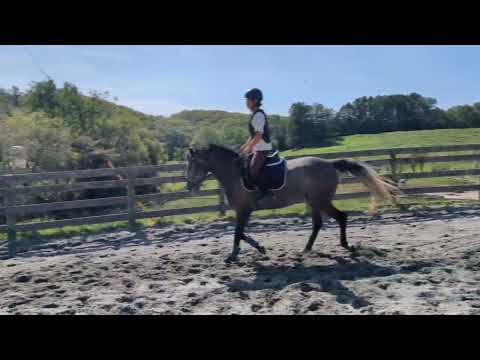 売約済*3才牝ハイスピリッツ 2025/09/15