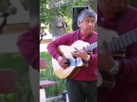 #todoelmundo #mariachi #guitarrista #chile #chilemusic #mexicoshorts #usashorts