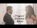 Salman-Katrina's 'Tiger Zinda Hai' First Look;  Watch Salman Khan's first action sequence