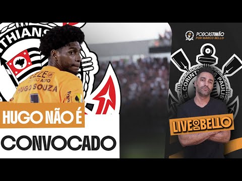 image para ilustrar o artigo