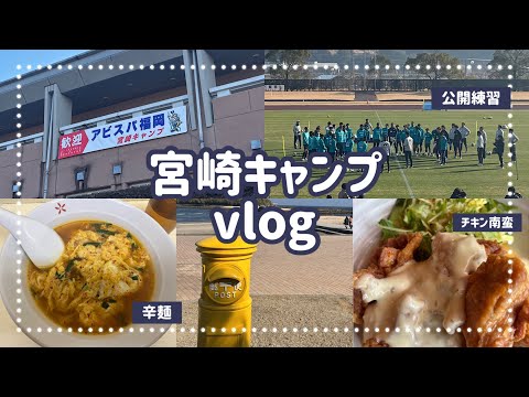 Jリーグ開幕まであと少し! 日帰り宮崎キャンプvlog 公開練習に宮崎グルメ🐓 #avispa #avilog #vlog #アビスパ福岡 #宮崎 #青島 #チキン南蛮 #辛麺