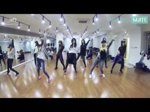 EXO Growl & Girl's Generation(SNSD) Mr.Mr. DanceMirror Ver.