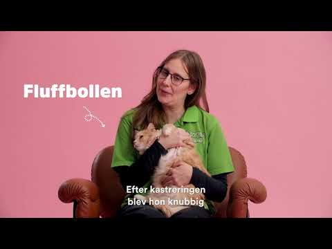 Fluffbollen | Arken Zoo