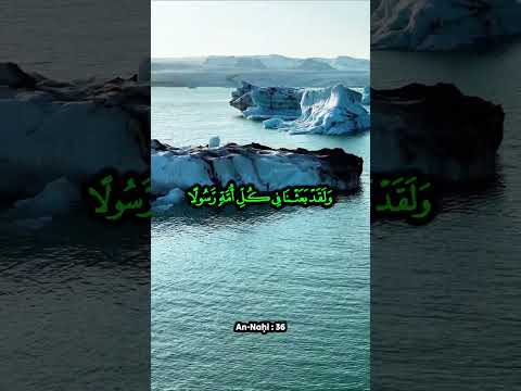 Le Créateur ou le hasard ? Ce que la nature montre vraiment #11