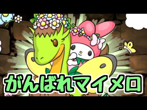 【生放送】サンリオコラボ ガチャを少々。降臨＆コロシアムをマイメロでがんばる【パズドラ】