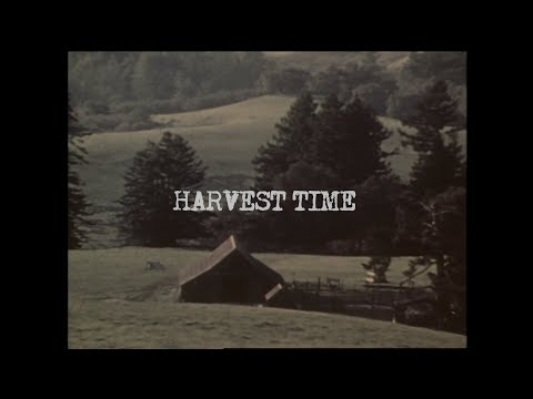 Neil Young: Harvest Time'