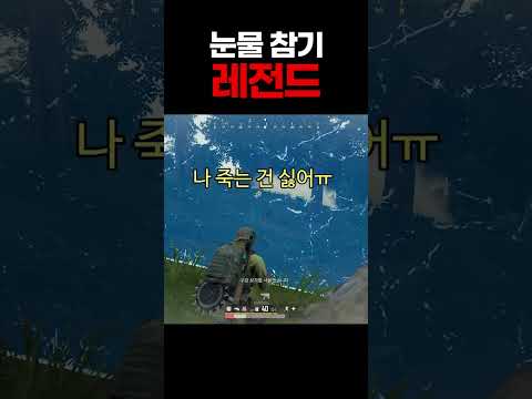 올해 가장 슬픈 쇼츠 1위