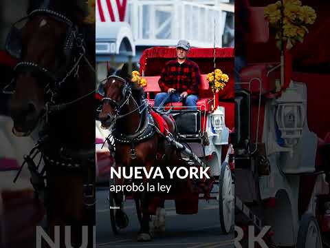 ¡Histórico! Nueva York prohíbe los carruajes tirados por caballos