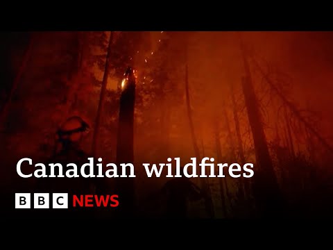 Canadian wildfires: Yellowknife evacuates 20,000 people - BBC News