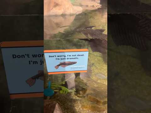 I thought he was long gone💀