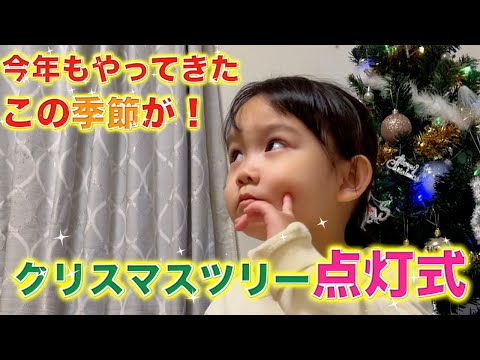 ゆうひなた家2024年クリスマスツリー🌲🎅