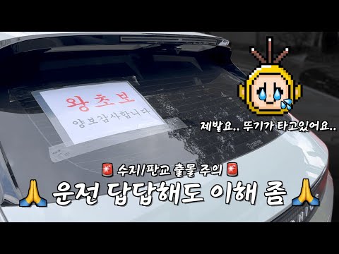 (막간 육아 탈출🙋🏻♂️) 뚜기를 위해 핸들을 잡은 개발자 엄마… 곧 대왕판교로에 드리프트 나갑니다🚗🔥