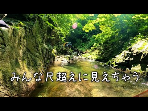 【渓流釣り】水中だと魚って大きく見えるよね