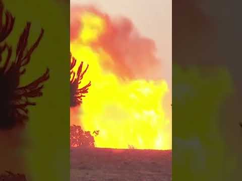 Wildfire rages near Portuguese holiday town